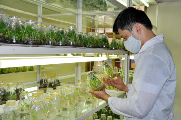 Chương trình đào tạo ngành khoa học cây trồng