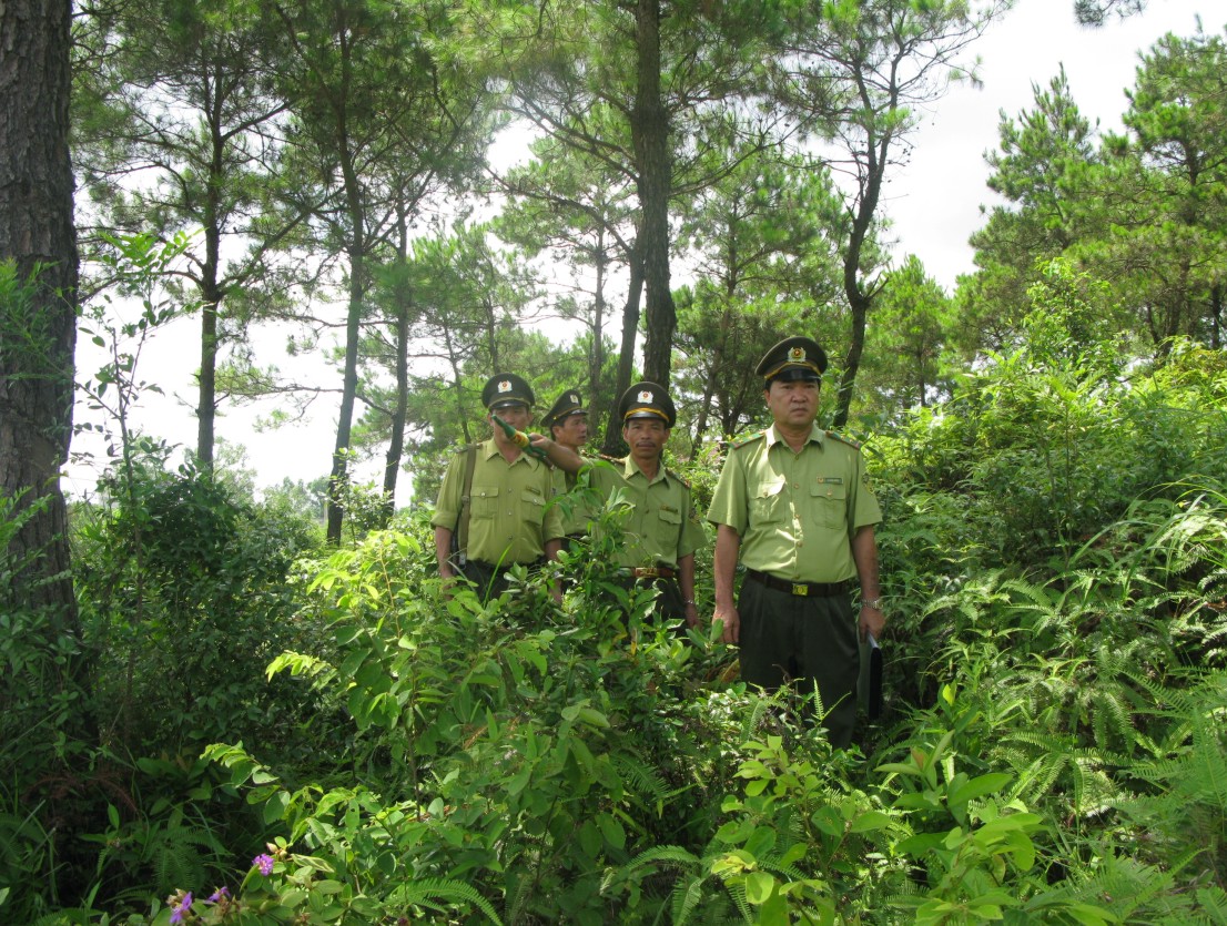 Ảnh ngành quản lý tài nguyên rừng