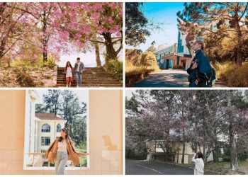 8 trường Đại học có khuôn viên siêu đẹp bậc nhất Việt Nam