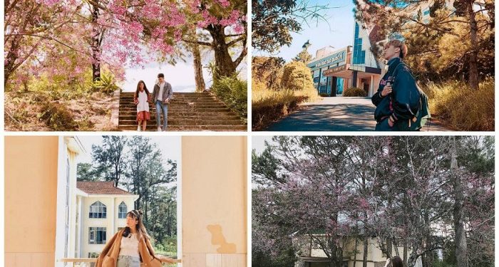 8 trường Đại học có khuôn viên siêu đẹp bậc nhất Việt Nam