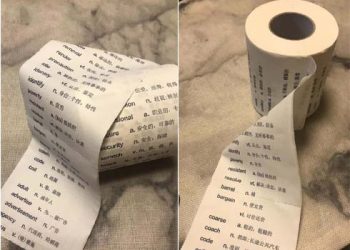 Đặt giấy vệ sinh in từ vựng tiếng Anh trong nhà vệ sinh trường học