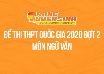 Đề thi tốt nghiệp THPT Quốc gia đợt 2 – Môn Ngữ văn
