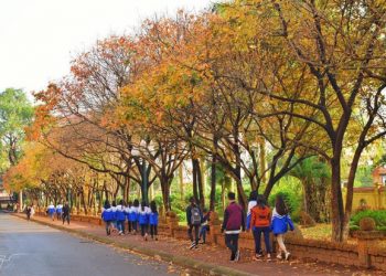 Ngôi trường Đại học đẹp nhất mùa đông Hà Nội: Background sống ảo lung linh như phim Hàn Quốc