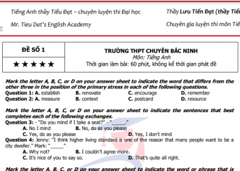 Tổng hợp 10 đề thi thử Tiếng Anh THPT quốc gia 2021 (có giải chi tiết)