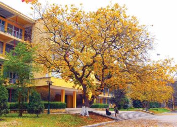 Top những trường đại học đáng học nhất Việt Nam