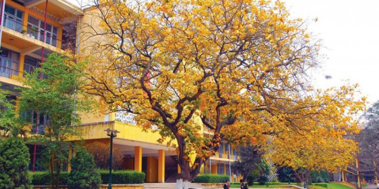 Top những trường đại học đáng học nhất Việt Nam