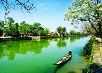 Tuyển tập nhận định hay về tác phẩm văn học lớp 12