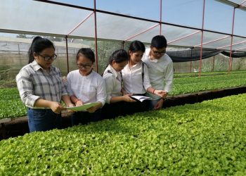 Chương trình đào tạo Ngành Bảo vệ thực vật