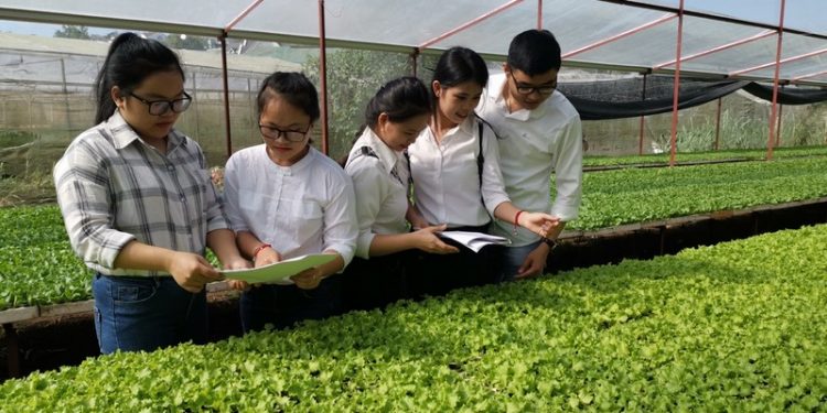 Chương trình đào tạo Ngành Bảo vệ thực vật