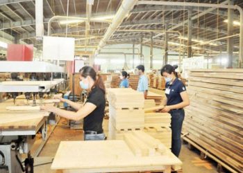 Chương trình đào tạo Ngành Công nghệ chế biến lâm sản