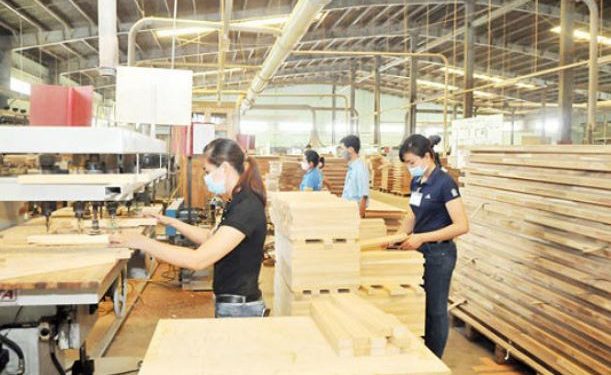 Chương trình đào tạo Ngành Công nghệ chế biến lâm sản