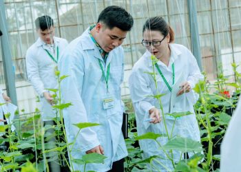 Chương trình đào tạo  Ngành Công nghệ rau hoa quả và cảnh quan