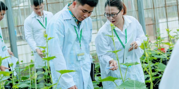 Chương trình đào tạo  Ngành Công nghệ rau hoa quả và cảnh quan