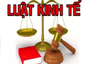 Chương trình đào tạo ngành đào tạo ngành luật Kinh tế