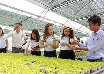 Chương trình đào tạo Ngành Khuyến nông