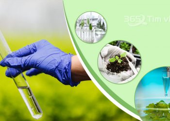 Chương trình đào tạo Ngành Kinh tế tài nguyên thiên nhiên