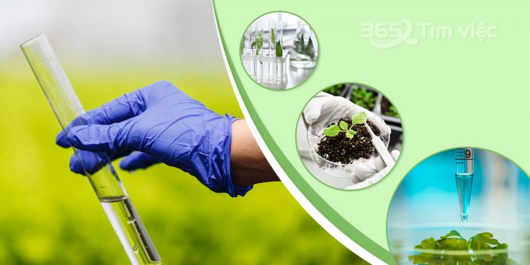 Chương trình đào tạo Ngành Kinh tế tài nguyên thiên nhiên