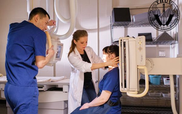 Chương trình đào tạo ngành kỹ thuật hình ảnh y học