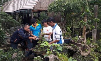 Chương trình đào tạo Ngành Lâm nghiệp đô thị