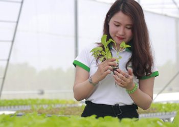 Chương trình đào tạo ngành Lâm sinh