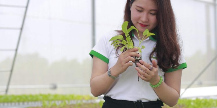 Chương trình đào tạo ngành Lâm sinh