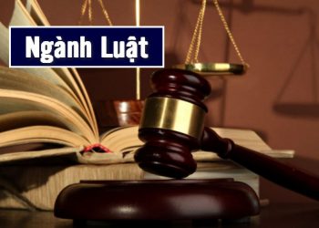 Chương trình đào tạo ngành Luật