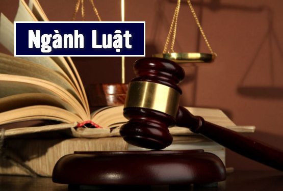 Chương trình đào tạo ngành Luật