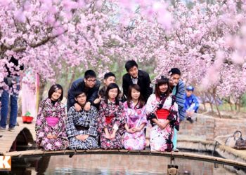 Chương trình đào tạo Ngành Nhật Bản học