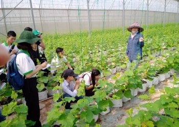 Chương trình đào tạo Ngành Nông học