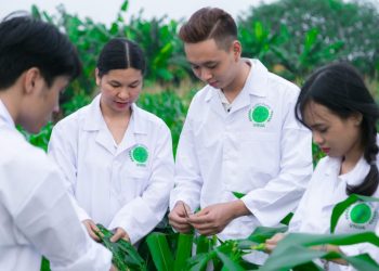 Chương trình đào tạo Ngành nông nghiệp