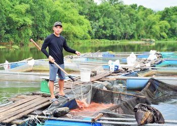 Chương trình đào tạo Ngành Nuôi trồng thủy sản