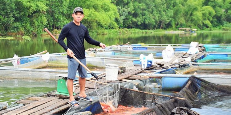 Chương trình đào tạo Ngành Nuôi trồng thủy sản