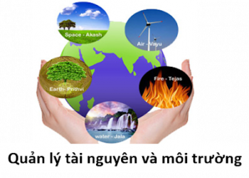 Chương trình đào tạo Ngành Quản lý tài nguyên và môi trường