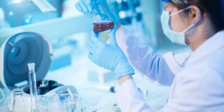 Chương trình đào tạo Ngành Sinh học