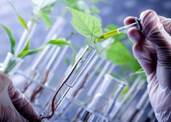 Chương trình đào tạo Ngành Sinh học ứng dụng