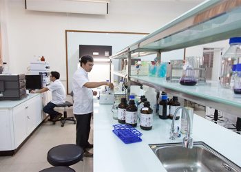 Chương trình đào tạo Ngành Sư phạm Hóa học