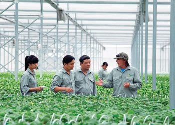 Chương trình đào tạo Ngành Sư phạm Kỹ thuật nông nghiệp