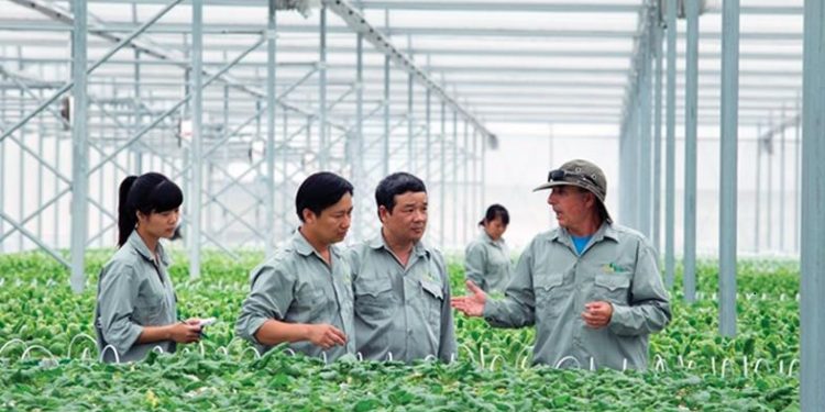 Chương trình đào tạo Ngành Sư phạm Kỹ thuật nông nghiệp