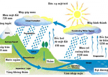 Chương trình đào tạo Ngành Thủy văn học