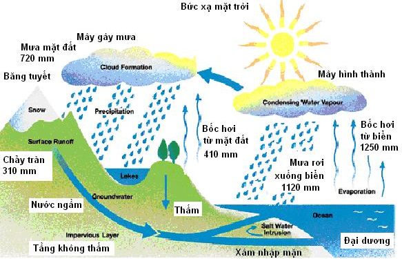 Chương trình đào tạo Ngành Thủy văn học