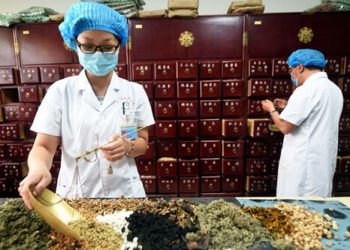 Chương trình đào tạo ngành Y học cổ truyền