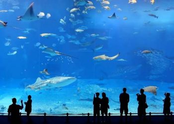 Khung chương trình đào tạo Ngành Hải dương học