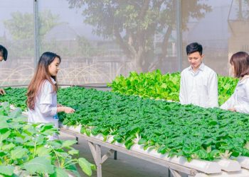 Khung chương trình đào tạo Ngành Kinh tế nông nghiệp