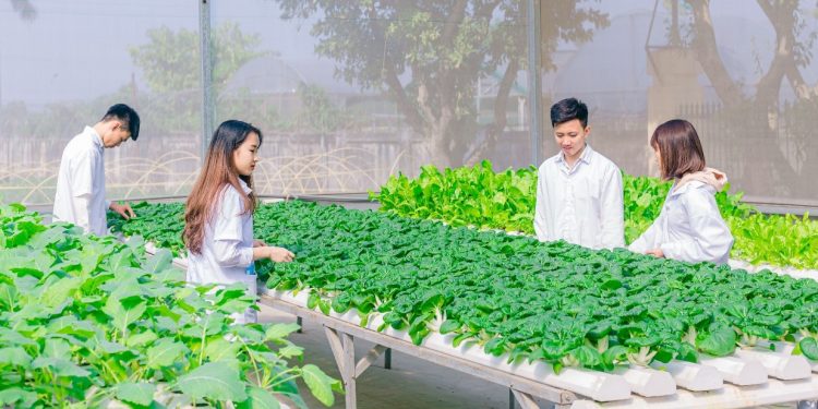 Khung chương trình đào tạo Ngành Kinh tế nông nghiệp