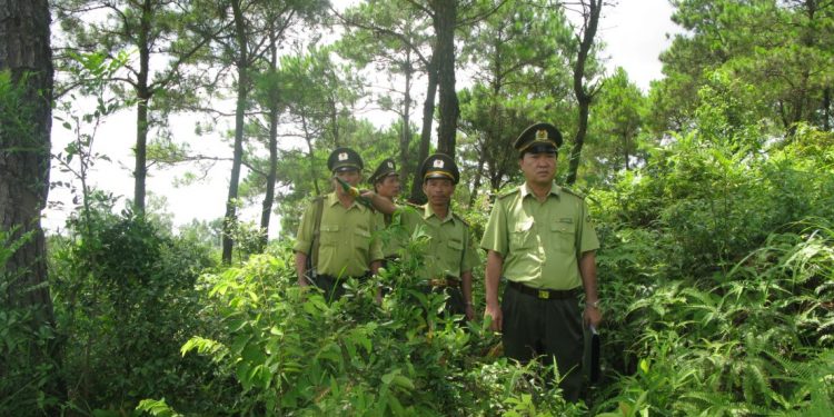 Khung chương trình đào tạo Ngành Quản lý tài nguyên rừng