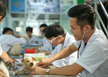 Chương trình đào tạo ngành Thú y