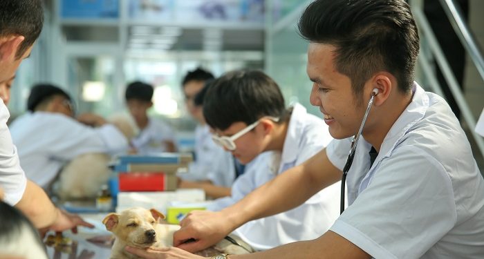 Chương trình đào tạo ngành Thú y