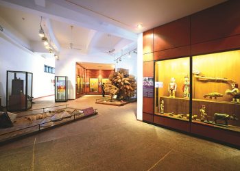 Ngành Bảo tàng học