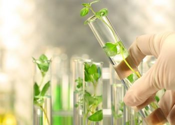 Ngành Bảo vệ thực vật