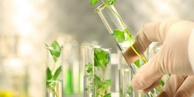 Ngành Bảo vệ thực vật